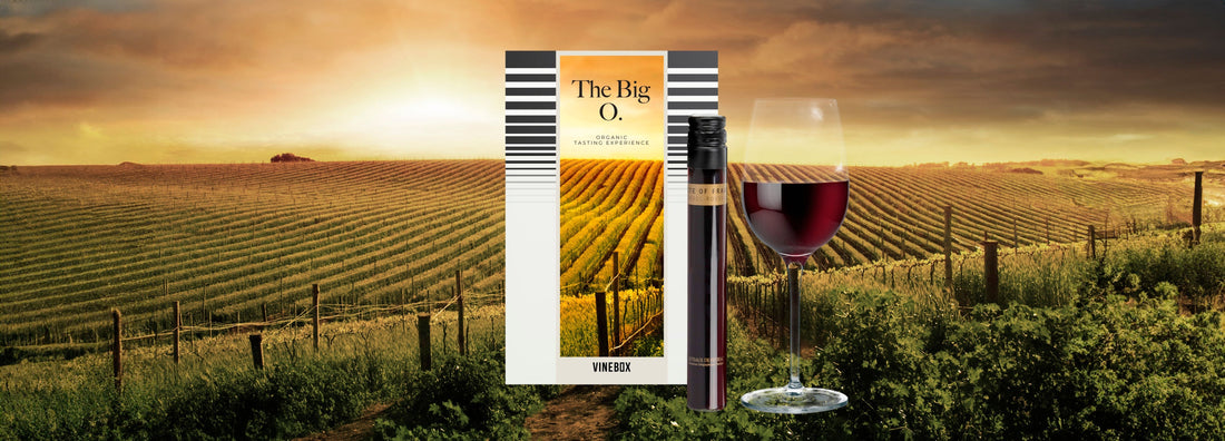 Why You Should Be Drinking Organic Wine (and Try The Big O Box)