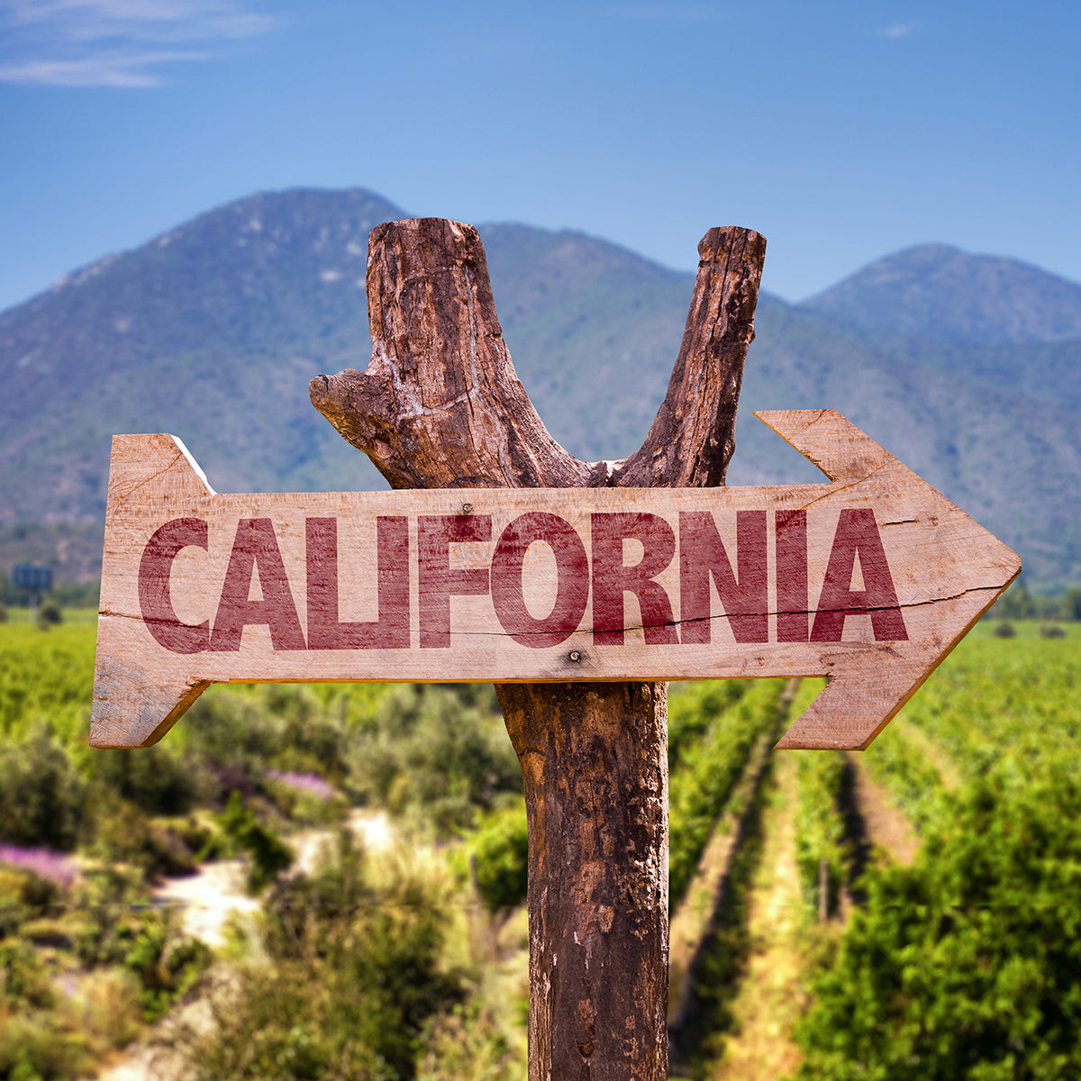 Wooden sign pointing to California with mountains and vineyards in the background