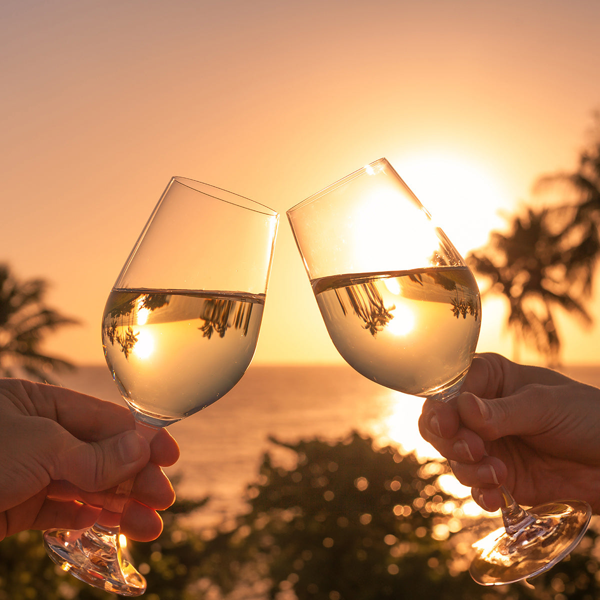 Two wine glasses being clinked together against a sunset backdrop with palm trees.