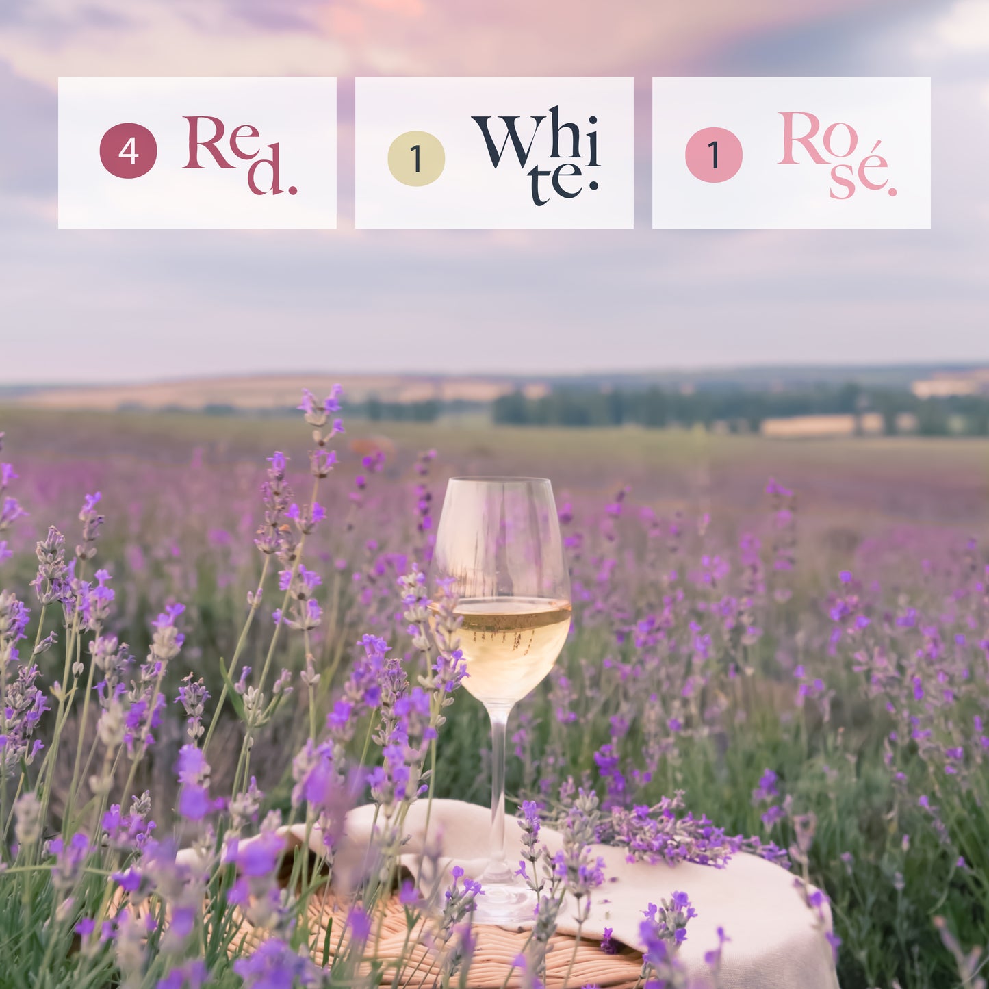 July Box of the Month - Tour de France