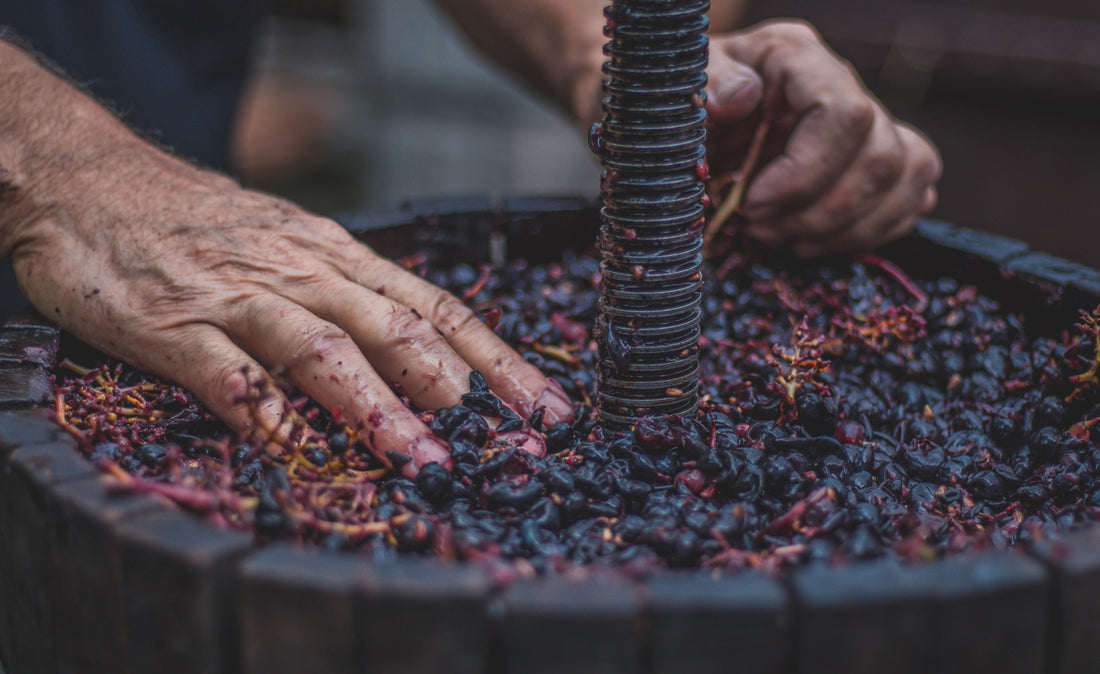 What are Tannins and How Do They Affect Aging? — Vinebox